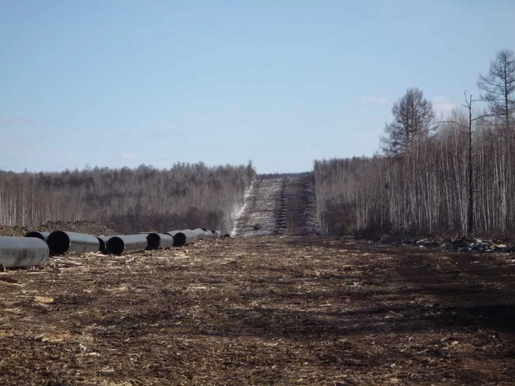 Баннер деталки проекта