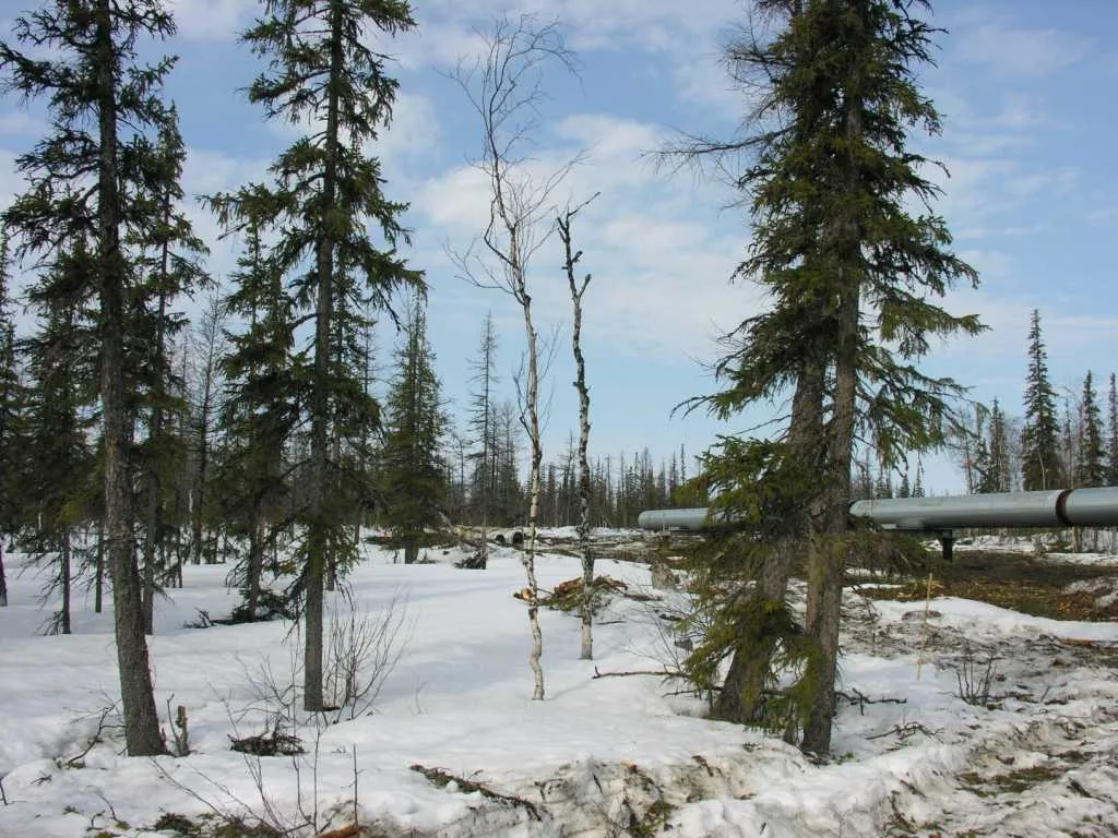 Баннер деталки проекта